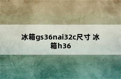 冰箱gs36nai32c尺寸 冰箱h36